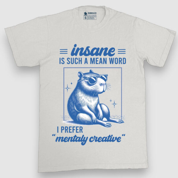 Insane is such a mean word, I prefer mentaly creative