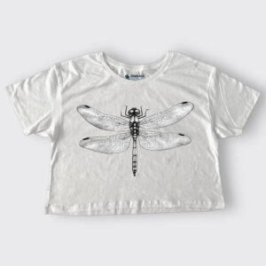 B&W Dragonfly