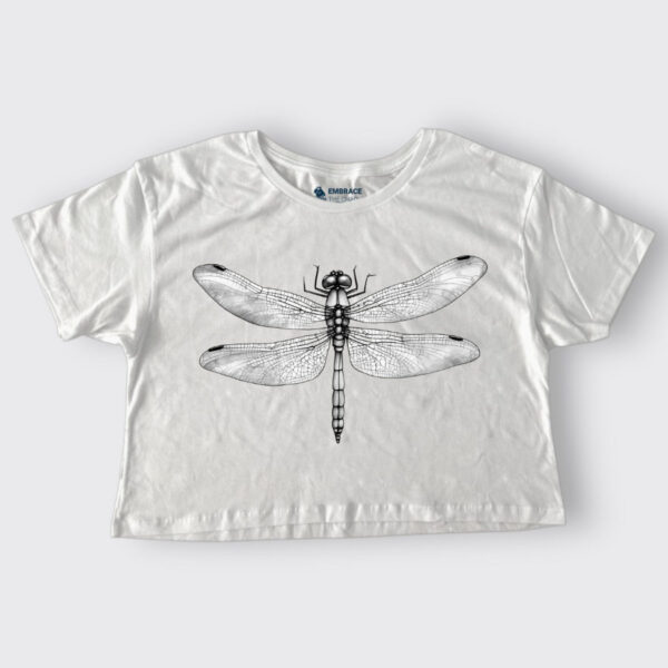 B&W Dragonfly
