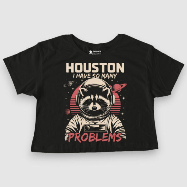 Houston, I have so many problems