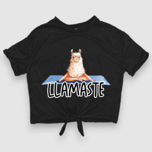 Llamaste
