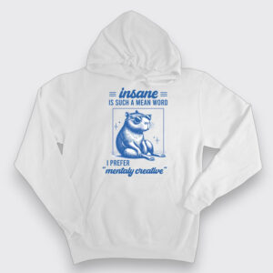 Insane is such a mean word, I prefer mentaly creative