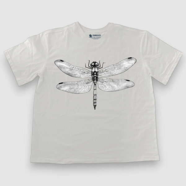B&W Dragonfly